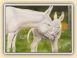  Cary Constantine Miniature Donkey Artist