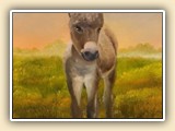  Cary Constantine Miniature Donkey Artist