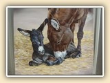  Laura Butler Miniature Donkey Artist