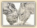   Laura Butler Miniature Donkey Artist